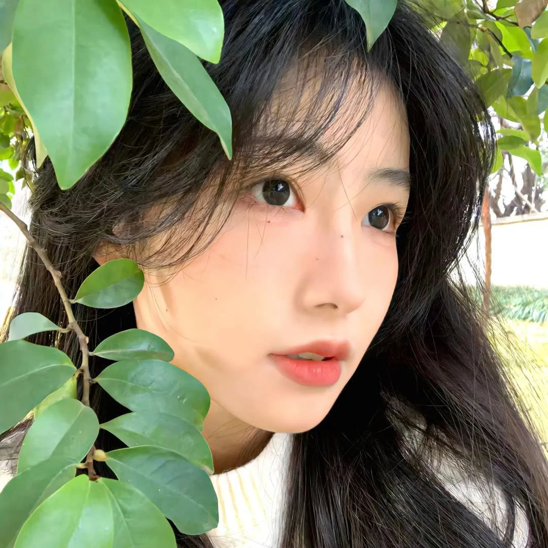 辉耀姬物语